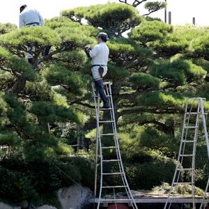 造園土木工事28